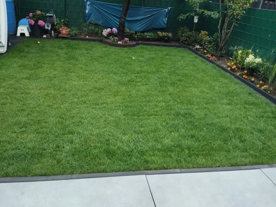 Gepflegter Garten nach Staunässe-Beseitigung durch Bodenbelüftung